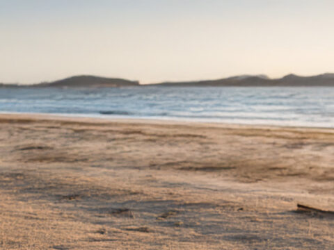 Kvinne som maler med akvarellmaling på et feltstaffeli på en strand