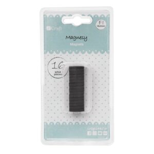 dpCraft Magnet 16stk - 16x3mm