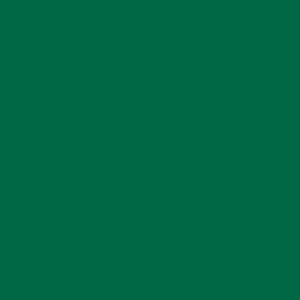 Folia Hobbykartong A2 180g/m - 100ark - 58 Grangrønn