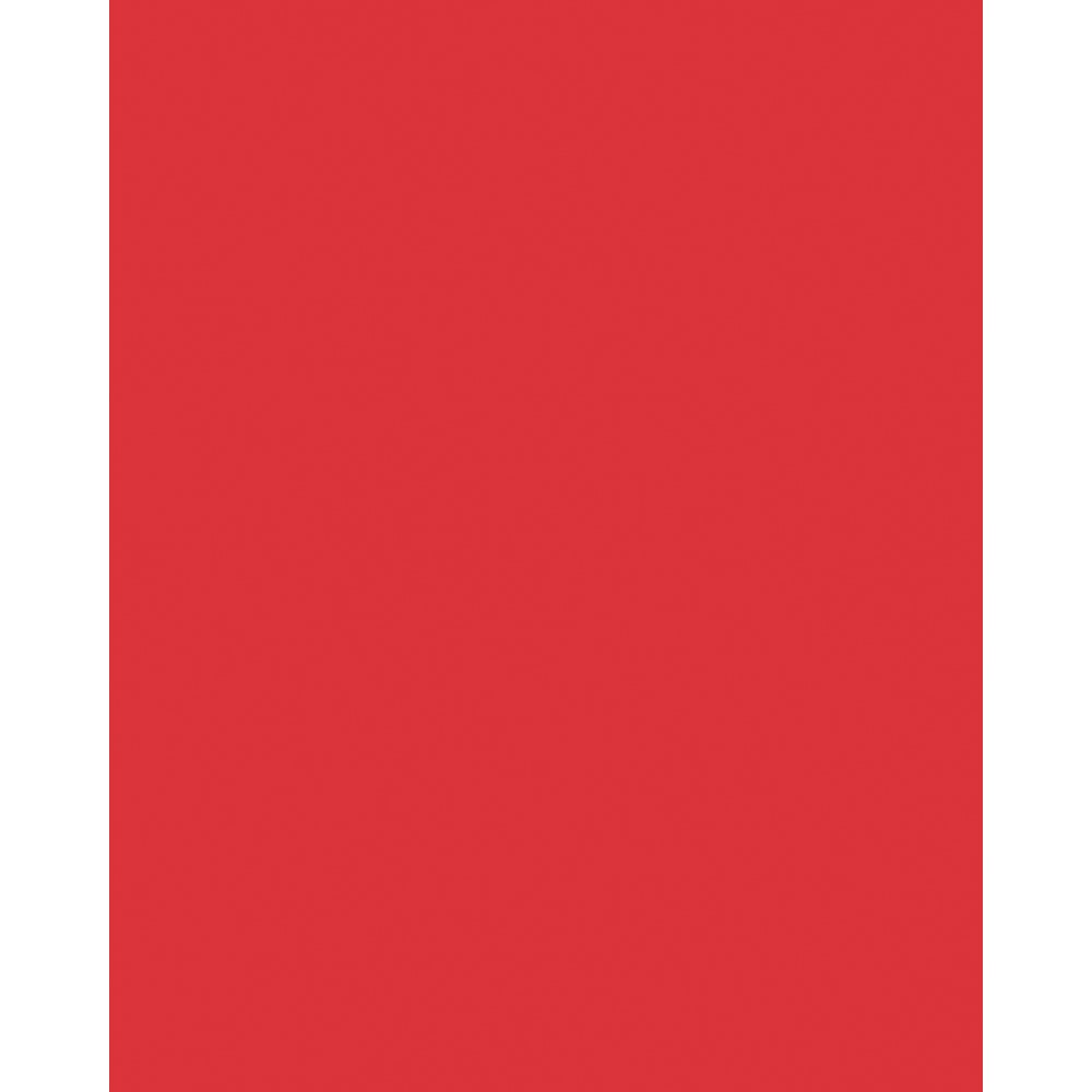 Folia Fotokartong 50x70 - 300g - 19 Hibuskusrød - Bilde 2