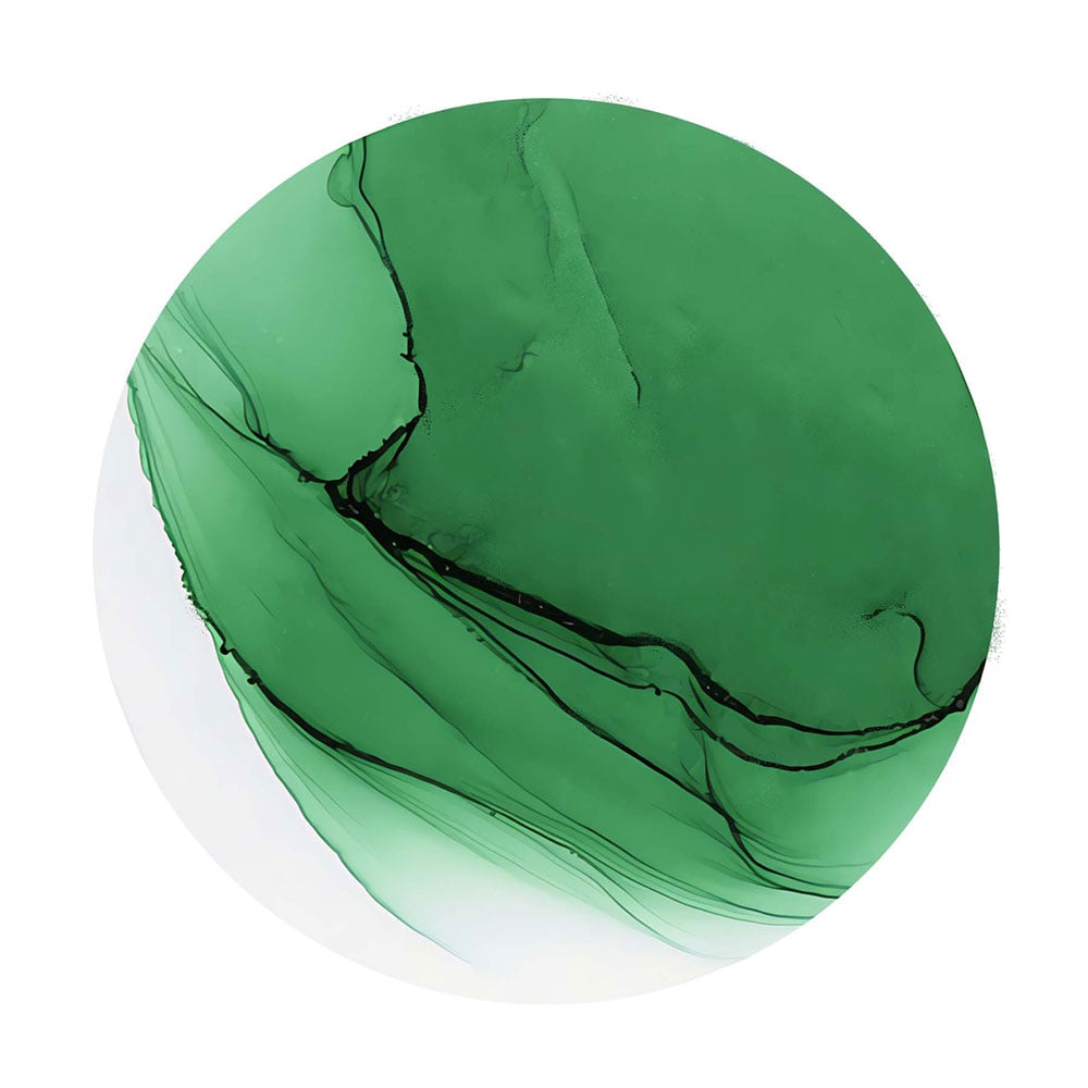 Copic Ink 12ml - G17 Forest Green - Bilde 3