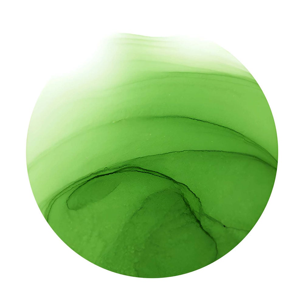 Copic Ink 12ml - G07 Nile Green - Bilde 3