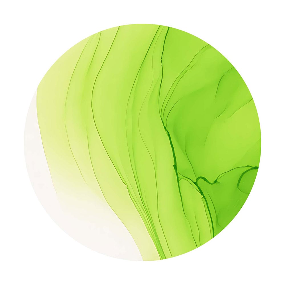 Copic Ink 12ml - YG05 Salad - Bilde 3