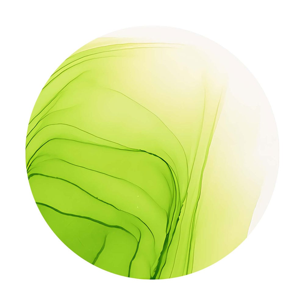 Copic Ink 12ml - YG25 Celadon Green - Bilde 3