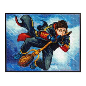 Diamond Dotz Harry Potter DD10 - Harry at Quidditch